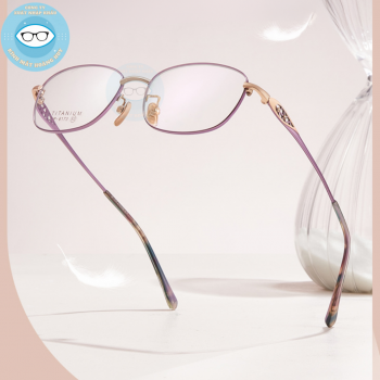 Gọng kính kim loại mã 6193